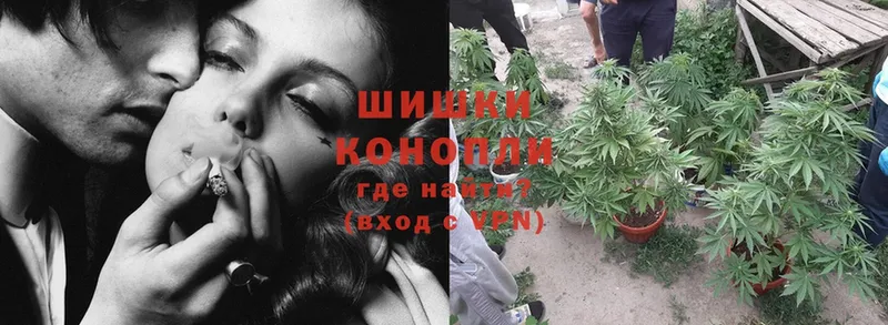 Бошки Шишки Ganja  mega как войти  Оса 